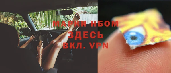 индика Волосово